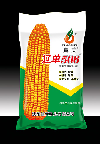 辽单506