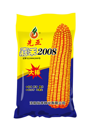 先亚嘉禾2008