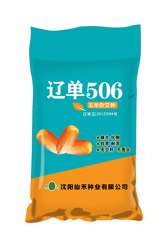 辽单506