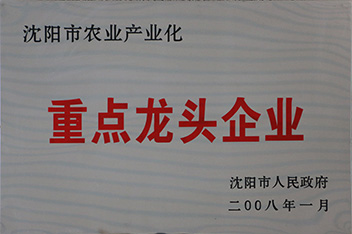 重点龙头企业