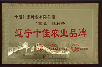 赢美 辽宁十佳农业品牌
